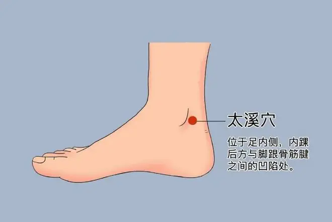 太溪穴位图